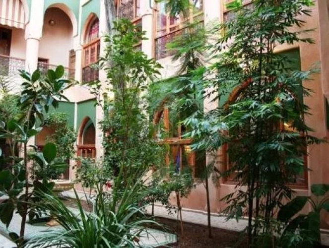 Riad Zouina