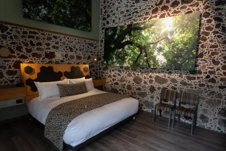 Deluxe Double Suite