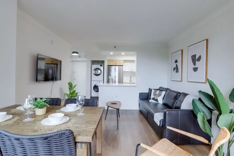 Pentagon City Modern apartment
