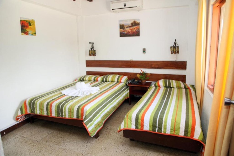 Classic Single room with view
