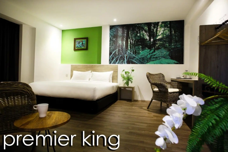 Premier Double room