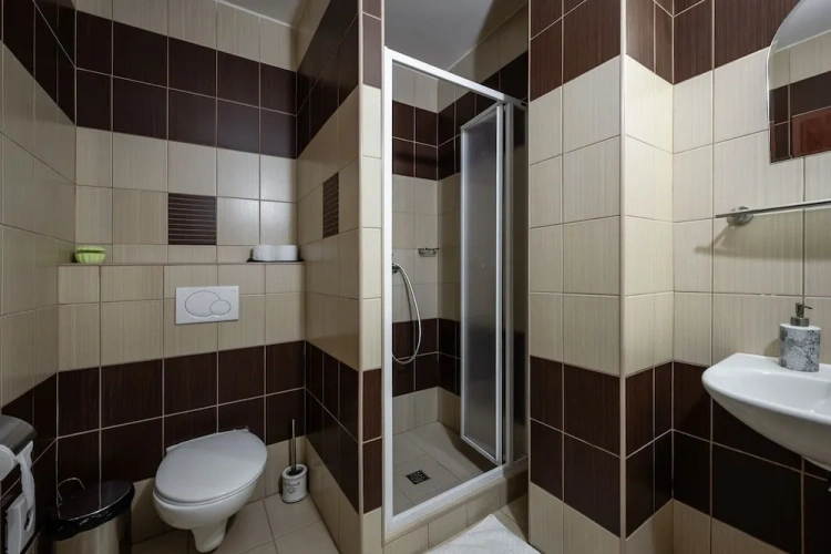Standard Single room with balcony and with mountain view