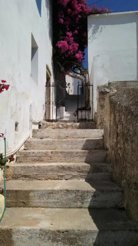 The large bougainvillea house