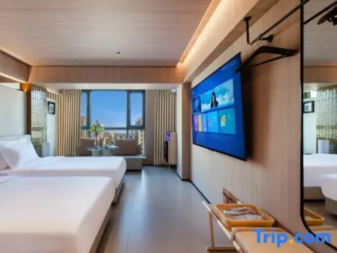 Deluxe Twin room with city view