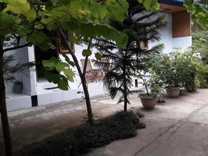Jasmine Inn