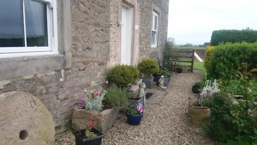 Lily Hill Farm