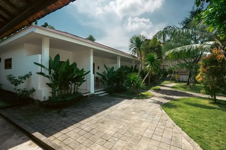 Zena Surf Suite