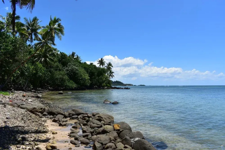 Island Breeze Fiji