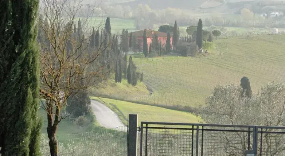 Il pollice verde