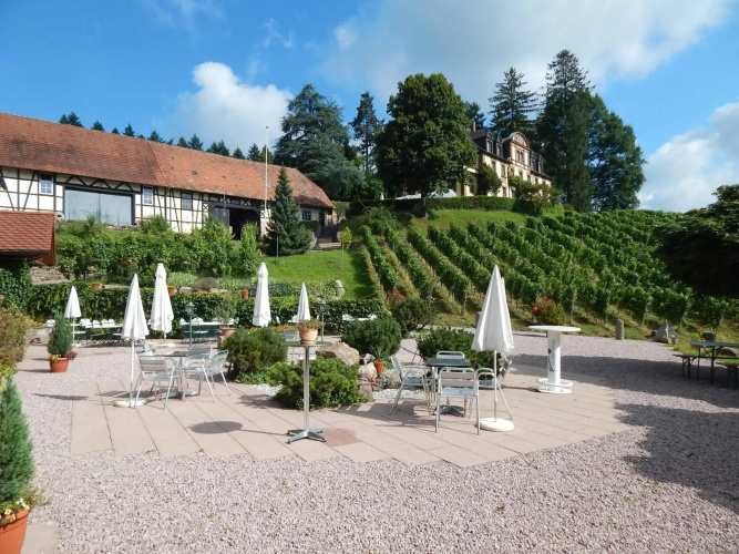 Wein Lodge Durbach - Schlossblick