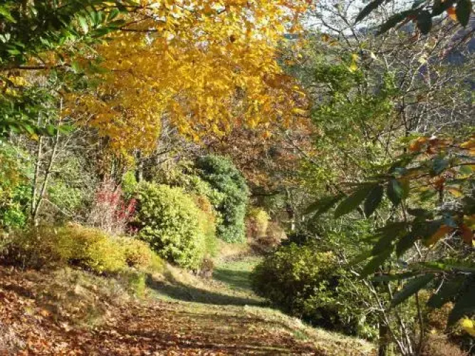 The Byre