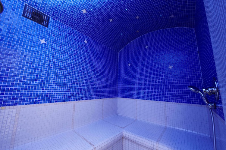 Best Western Plus Au Cheval Blanc Mulhouse Nord photo 9