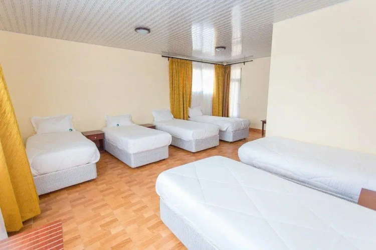 Bed in Dorm