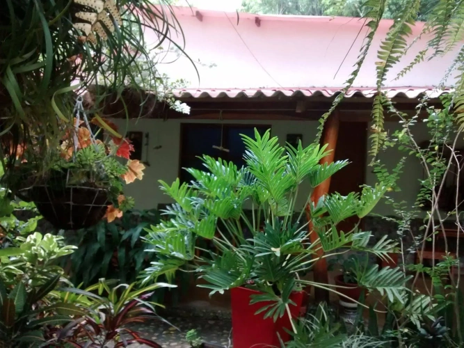 Outside