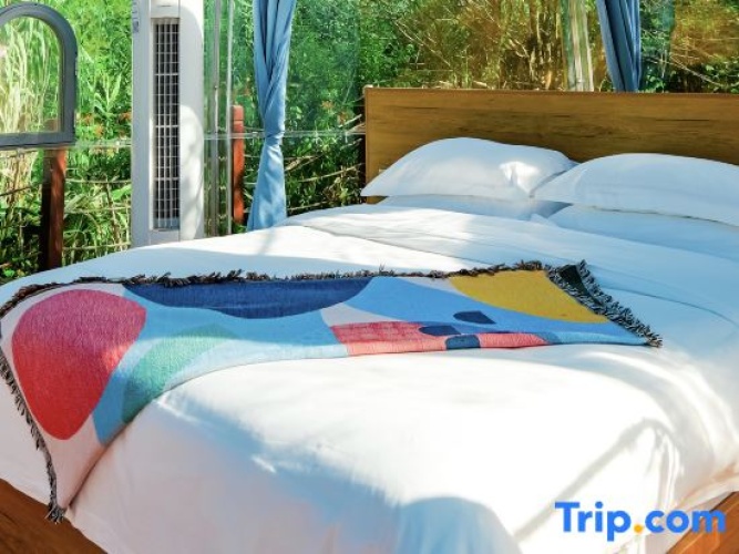 Standard Double room with lake view