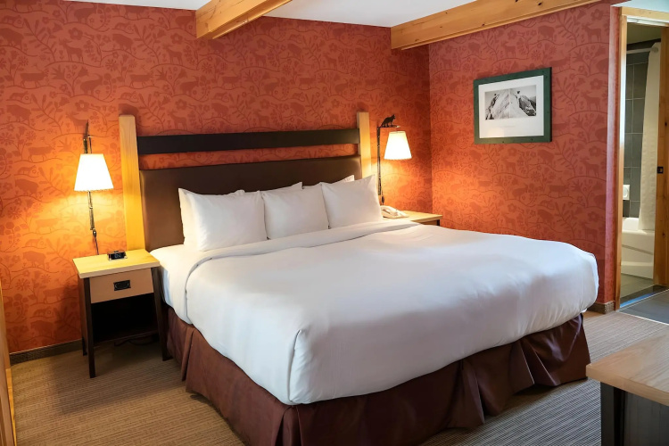 The Fox Hotel & Suites photo 8