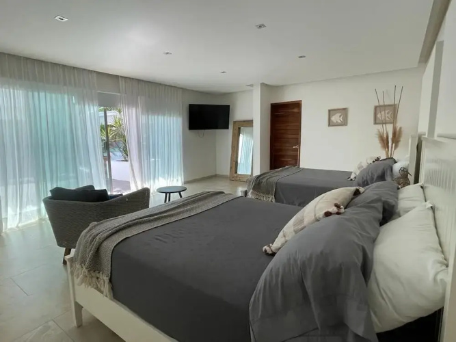 Luxury Palms