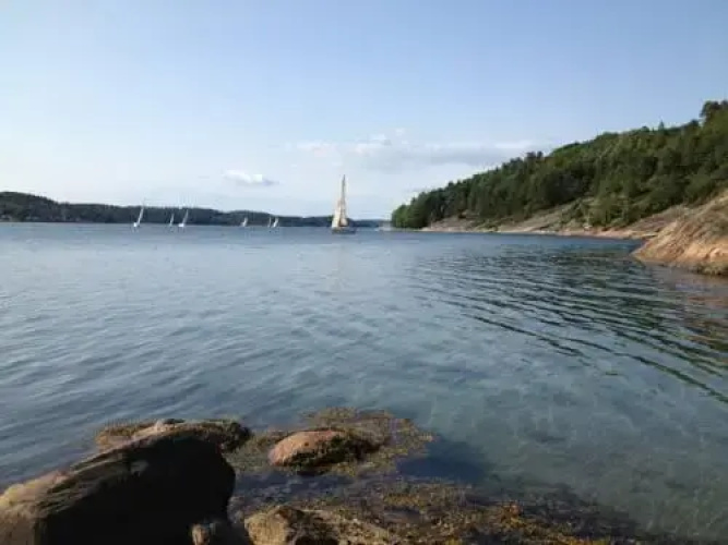 Tångehamnen