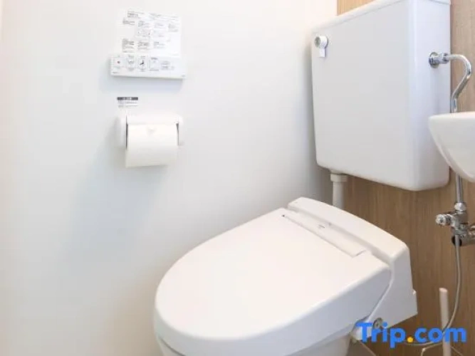 Home Story in Tokyo Hirai Station, Edogawa – Direct to Ueno & Akihabara