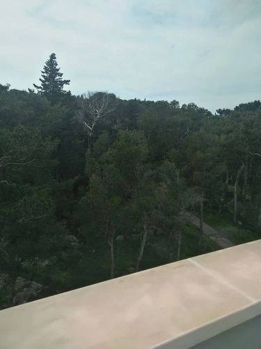 Standard Double room with balcony and with park view