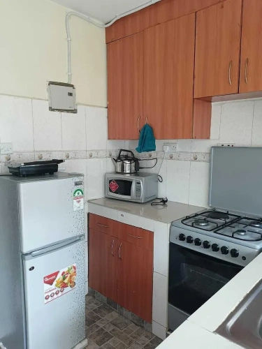 Classic Apartment