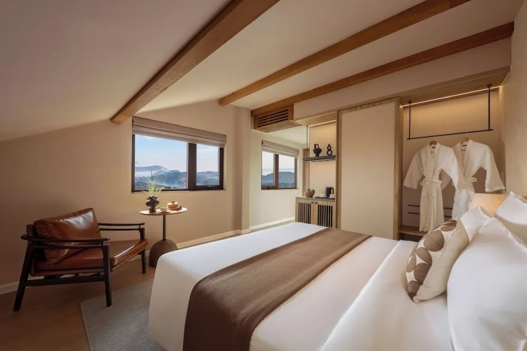 Deluxe room with city view