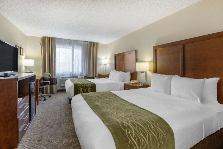 Standard Quadruple room