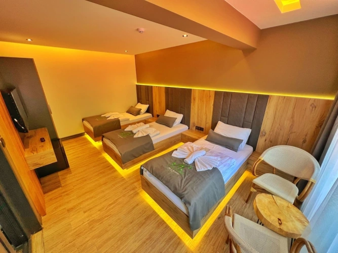 Standard Triple room