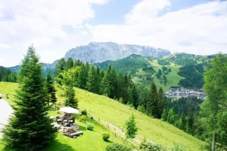 Alpenhotel Plattner