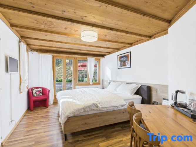 Superior Double room with balcony and with lake view