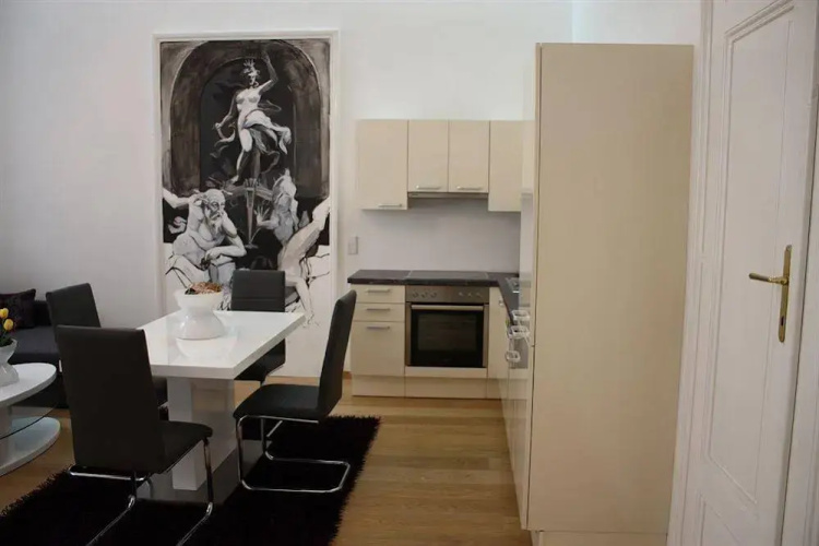 Luxury Downtown Apartment Vienna - Baeckerstrasse