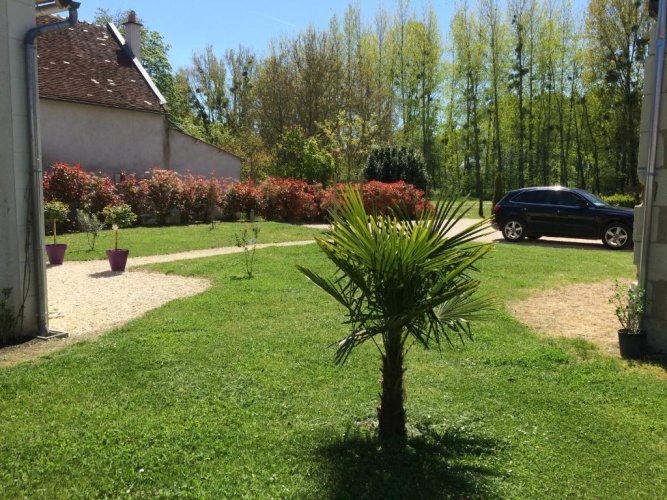 Cottage
