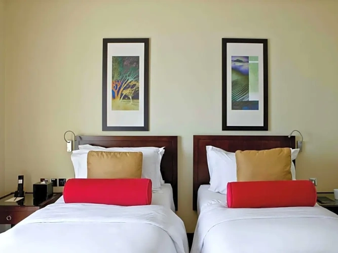 Superior Twin room with balcony and with city view