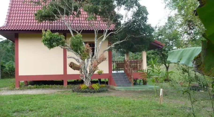 Suancha Tea Garden