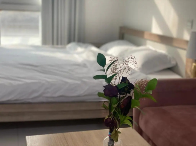 Comfortable Apartments and Studios for Rent in Dubai