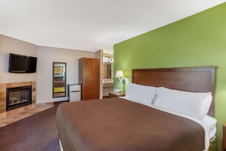 1 Bedroom Standard Double room
