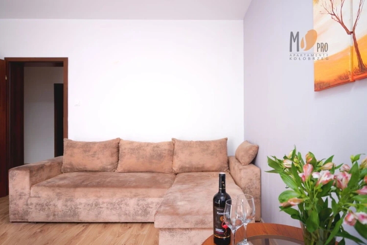 Economy Apartment