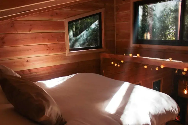 Cabanas Bosque Milenario
