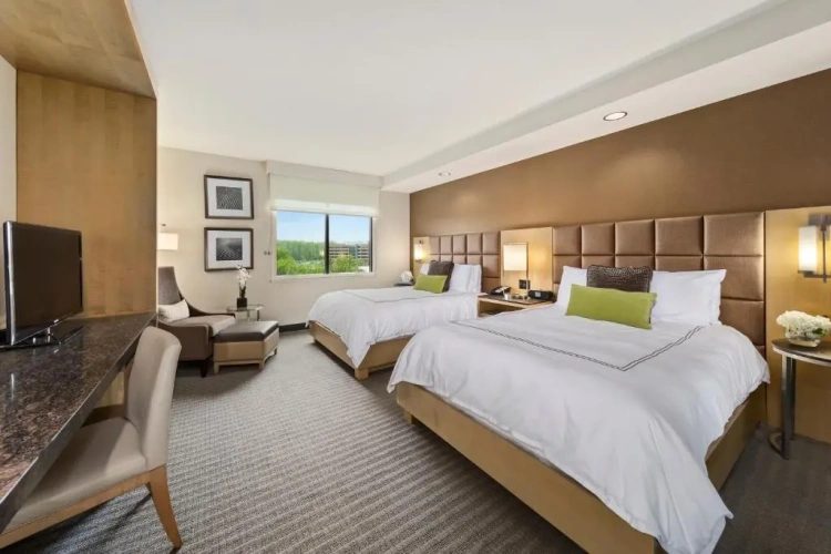 Executive Quadruple room
