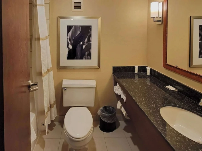 1 Bedroom Suite