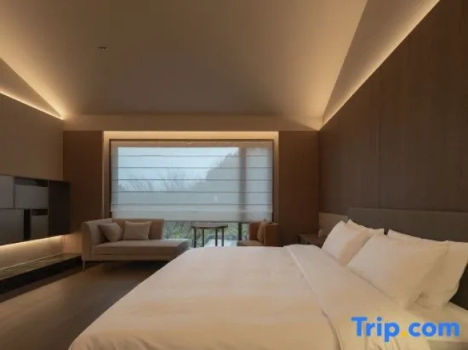 Deluxe Double room with city view