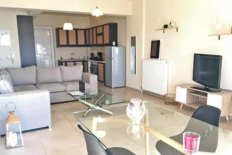 Comfortable Apartment