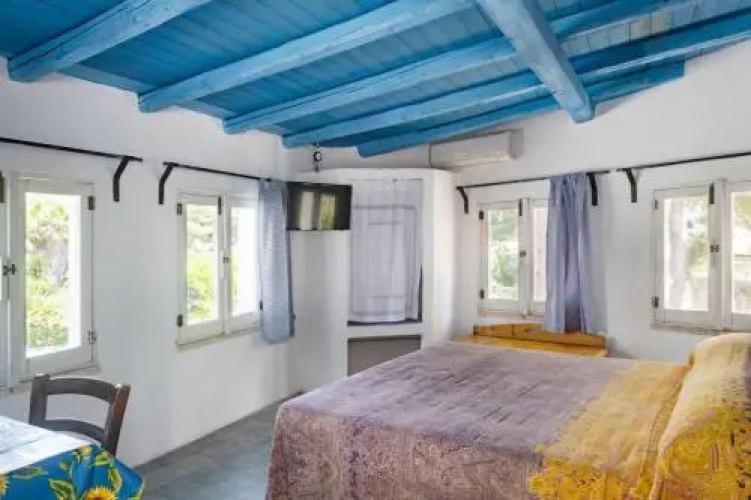 Attic iolanda