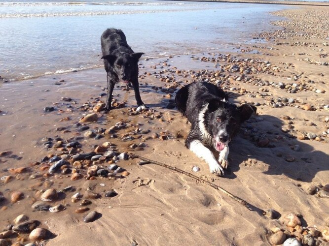 Point Farm B&BOver view