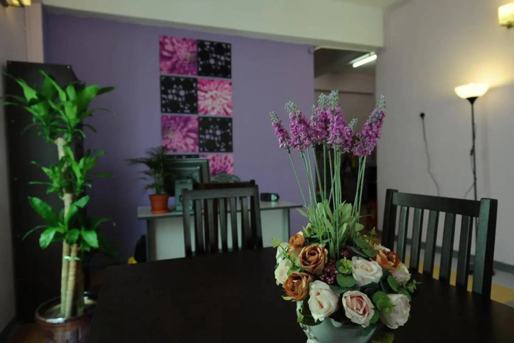 Lavender Guesthouse - Hostel