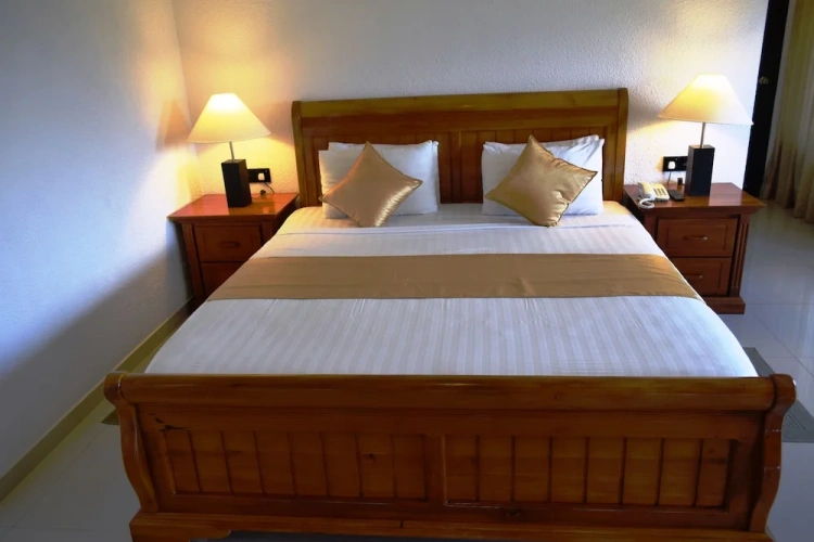 1 Bedroom Deluxe Double room with mountain view