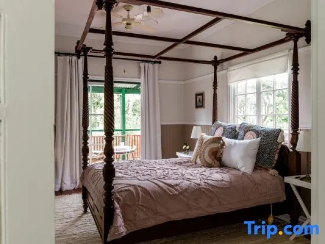 Premium Cottage