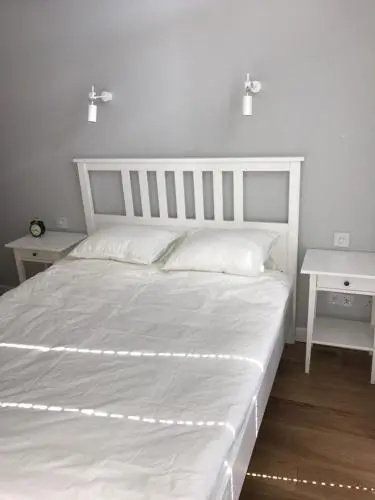Apartment Olivia