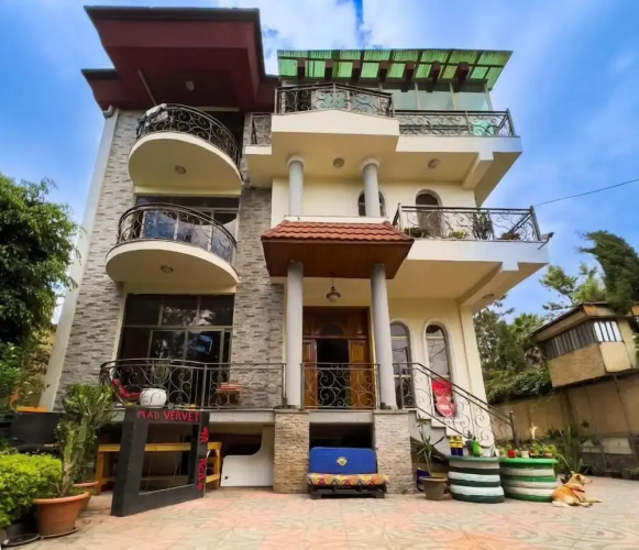 Mad Vervet Hostel - Addis - Addis Ababa