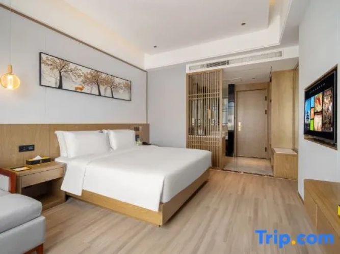 Business Double room